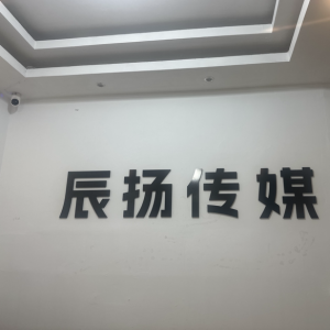 辰扬传媒